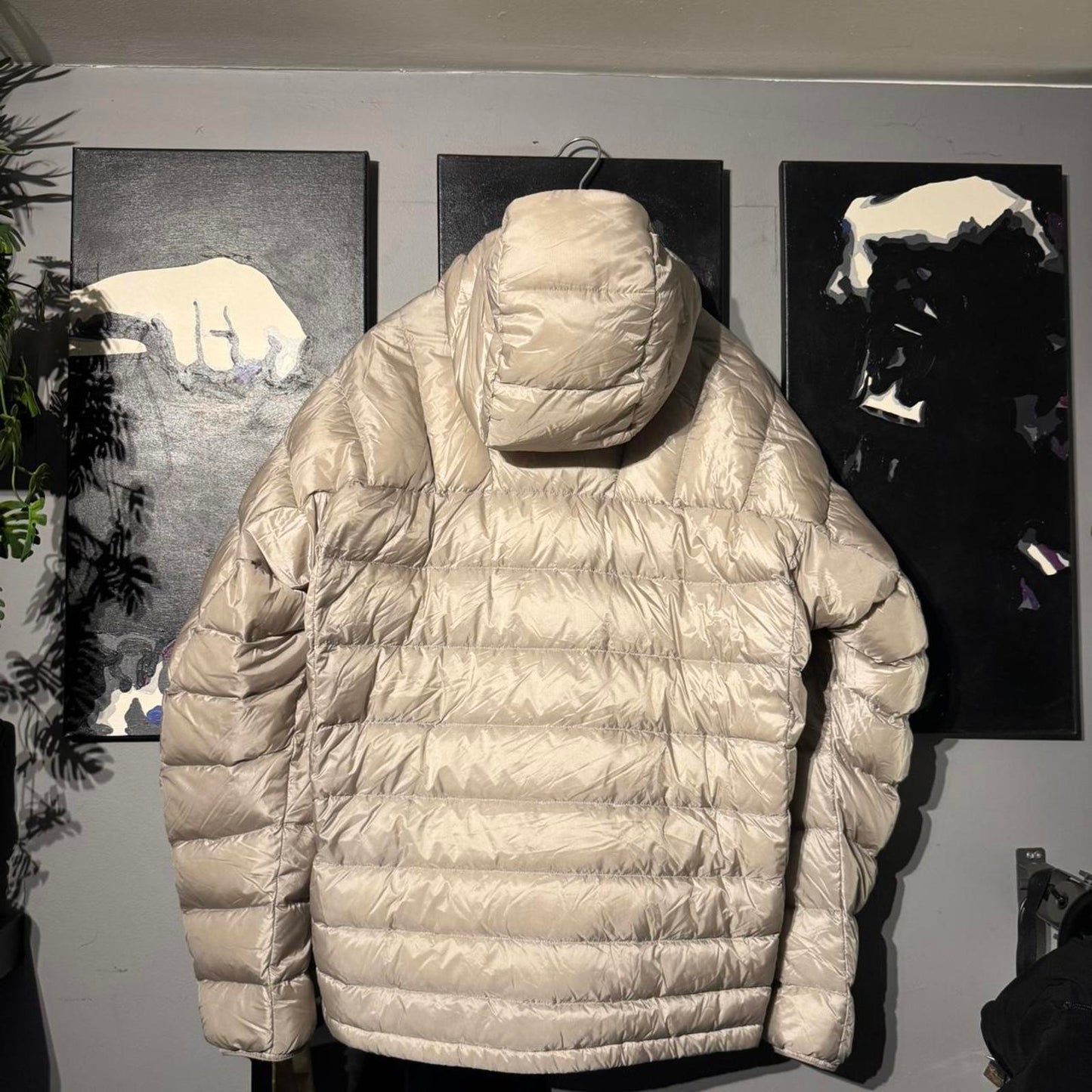 UNIQLO Ultra Light Down Jacket